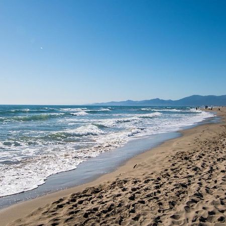 Beautiful Apartment 200M From Beach Canet-en-Roussillon Dış mekan fotoğraf